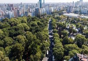 Arbolado urbano