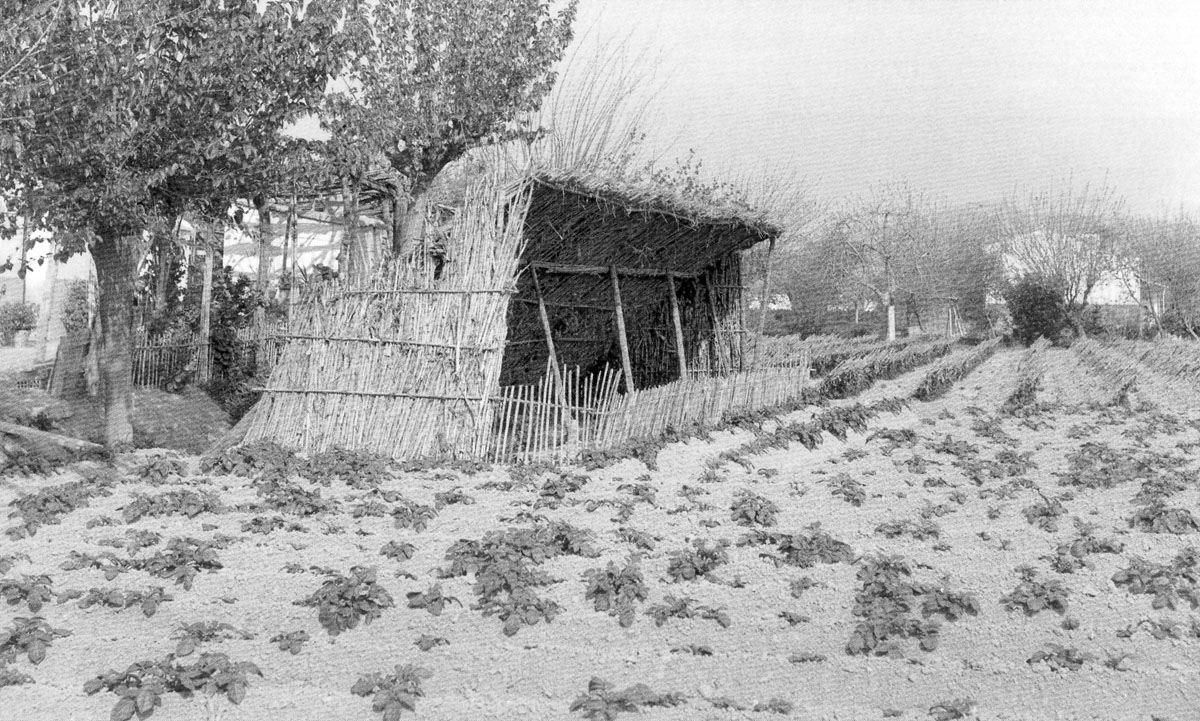 Huerta con historia