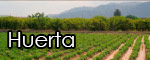 ir a HUERTA