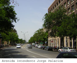 Avenida Intendente Jorge Palacios