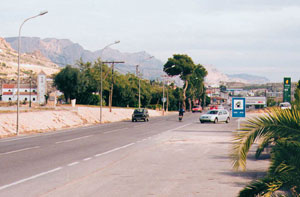 Imagen de cobatillas